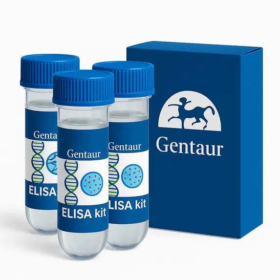 Metanephrine / Normetanephrine (2-Met) (Urine) RIA - 100 Determinations