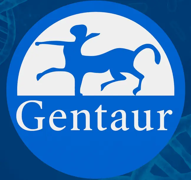 PECAM-1 (Mouse) ELISA - 96 Determinations