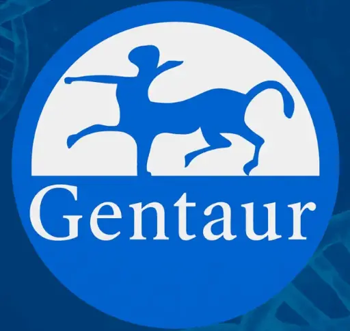 [IB09616] TNF- Alpha (Mouse) ELISA - 96 Determinations