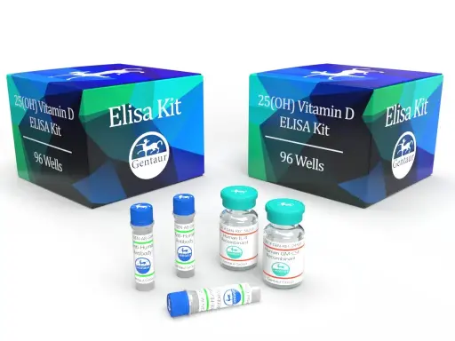 [IB49661] VEGF-A (Human) ELISA - 96 Determinations