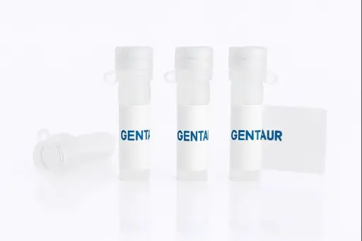 [pept25sk10620] HSD11B1, Human (His-SUMO)